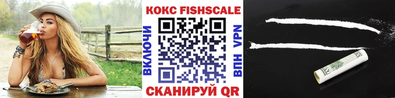 Купить закладки  Арсеньев  КОКАИН Fish Scale 